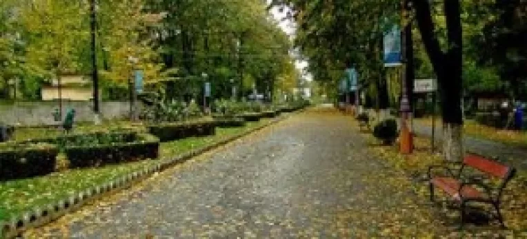 Alexandru Cordos vrea Internet gratuit pentru romani, in parcuri, piete centrale, camine culturale, scoli, biserici si biblioteci