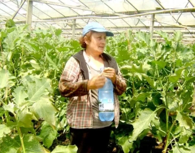 Angajatii Sere Constanta primesc apa si o masa calda