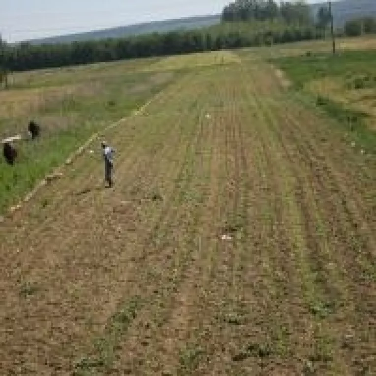 Creste suprafata calamitata din Dolj