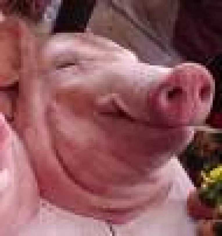 Facebook: Pamfletul lui Adrian Nastase Ba jigodie a strans mii de like-uri si sute de comentarii