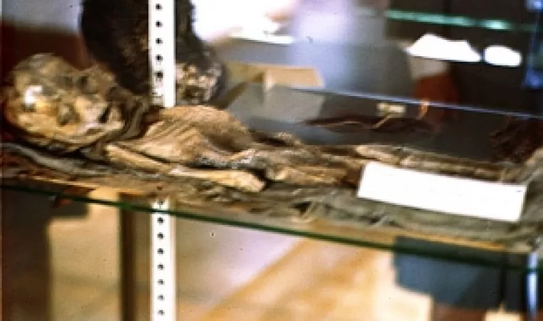 In podul unei case din Sedona, Arizona, a fost gasita o mumie a unui extraterestru