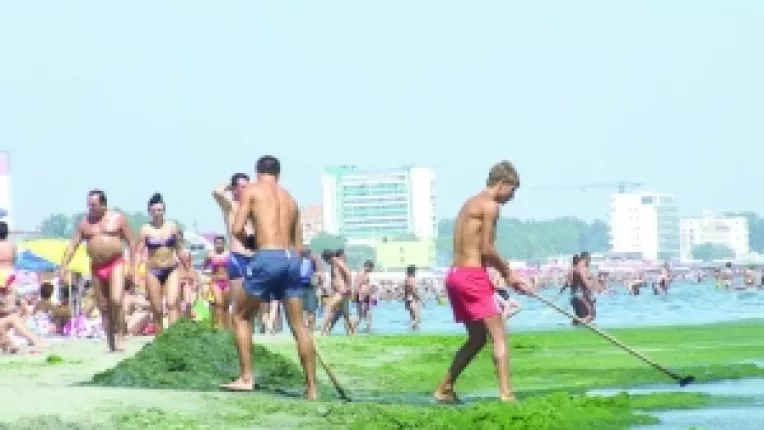 La lopata, ca sa scape de alge