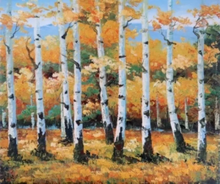 Mesteacanul simbolizeaza, in multe traditii europene, lumina, puritatea si feminitatea