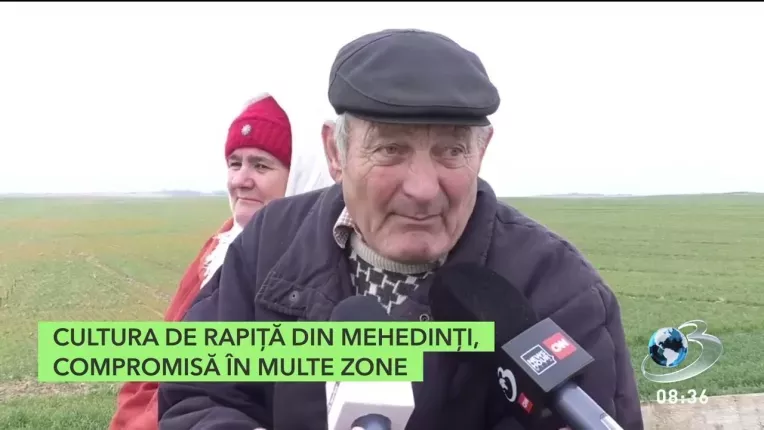 Pericol pentru culturile fermierilor romani din cauza temperaturilor ridicate