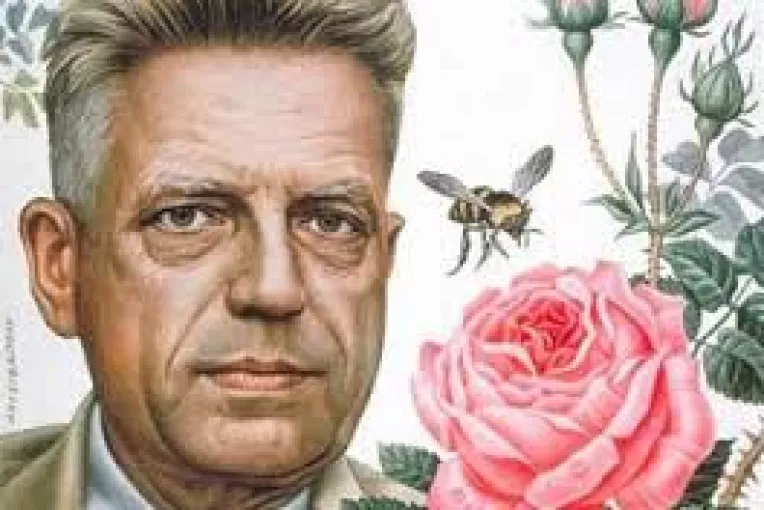 Un film exceptional despre viata savantului care a schimbat mentalitatile privind sexul: Kinsey  (2)